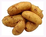 BLEICHHOF® 5kg Annabelle Kartoffeln aus der Pfalz - Sorte: Annabelle festkochend Salatkartoffel, Ernte 2025
