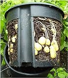 PotatoPot® Kartoffel-Pflanztopf, Kübel für Pflanzkartoffeln auf Balkon & Terrass